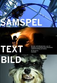 Samspel text-bild av Bo Bergström