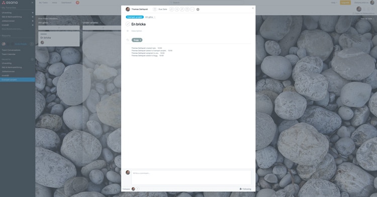 Asana screenshot